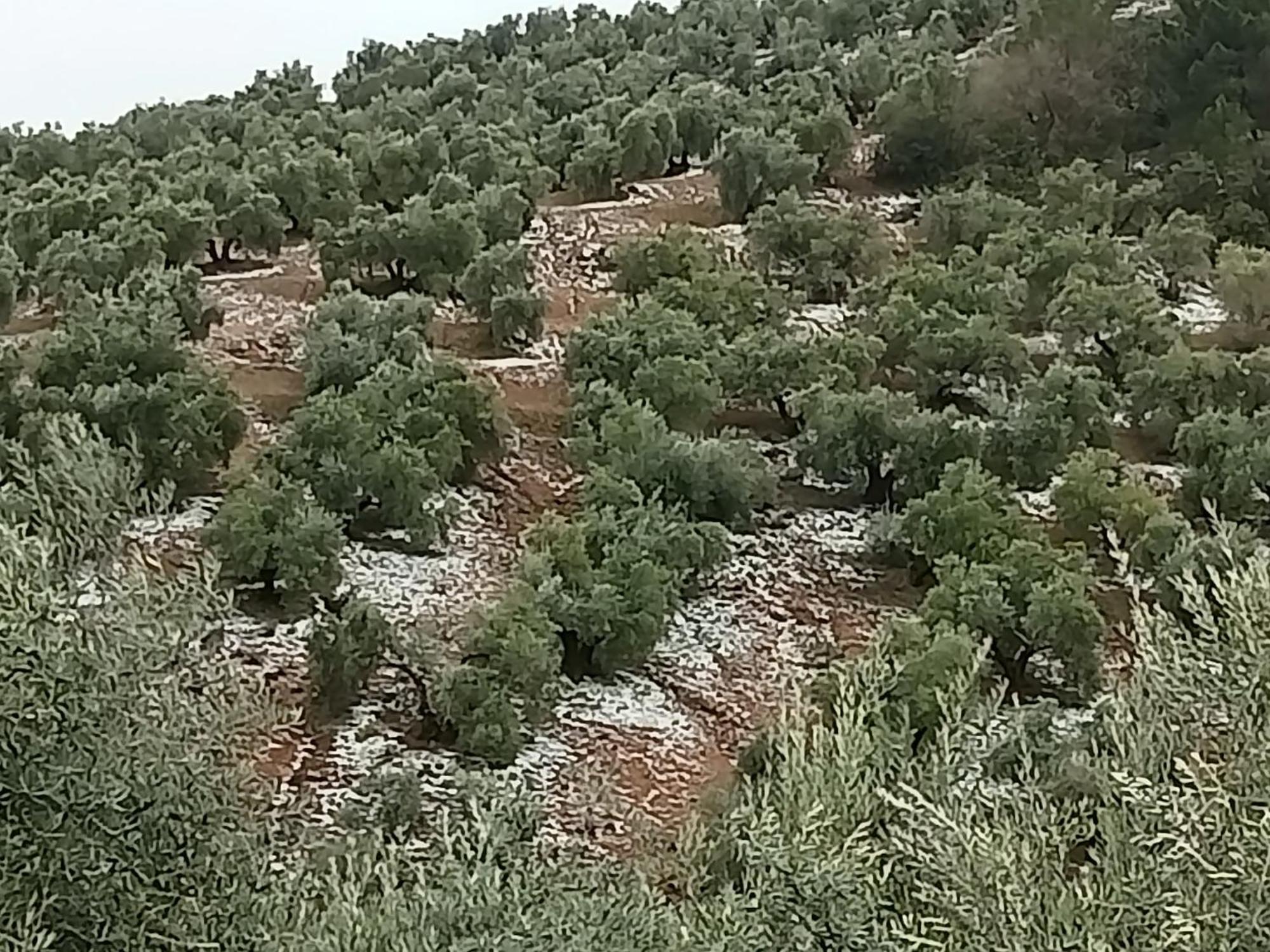 Willa El Almendro De La Tia Teresa Prados de Armijo Zewnętrze zdjęcie